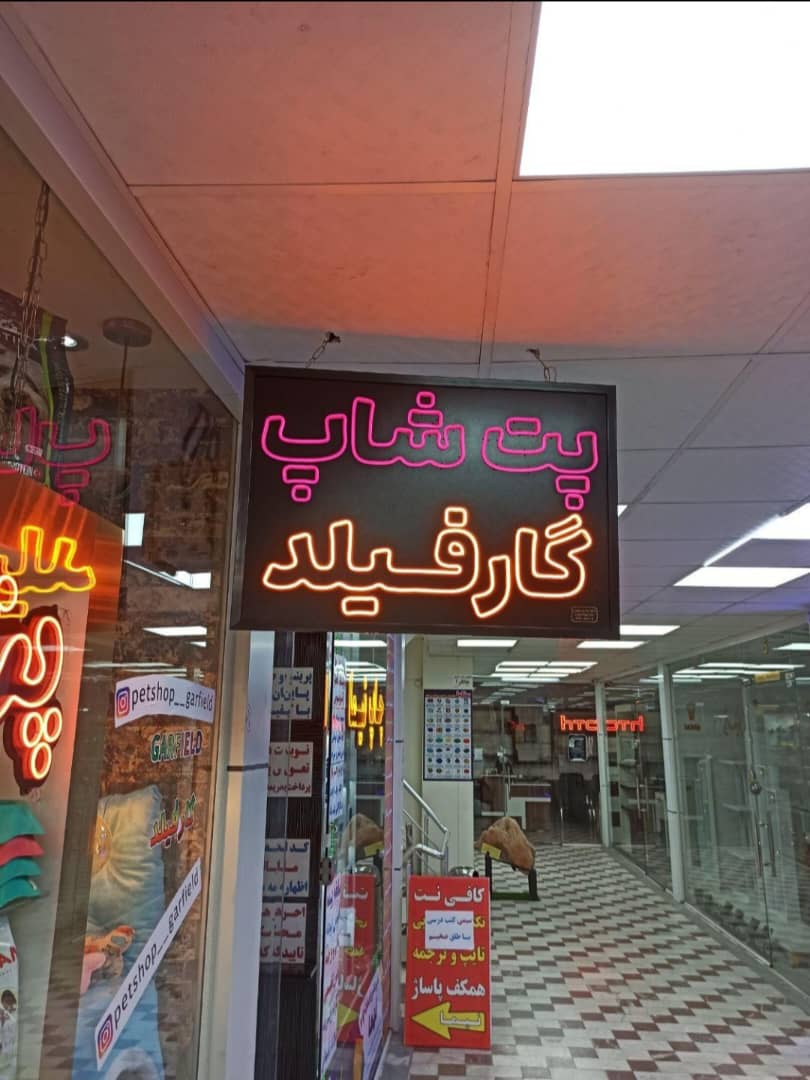 پت شاپ گارفیلد در تبریز